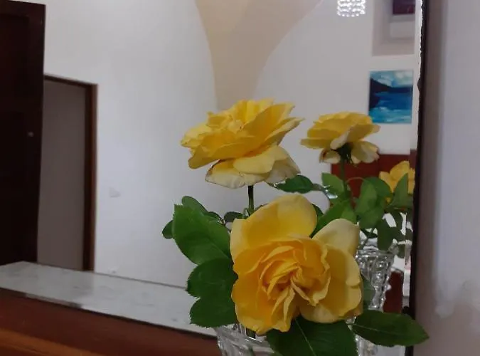 A Casa Di Paolo Bed & Breakfast Alessano